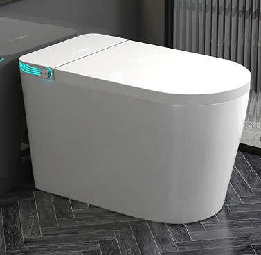 602 smart  toilet