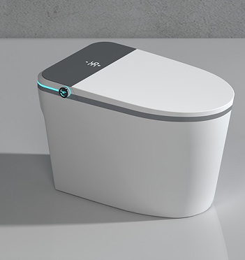 604 smart  toilet
