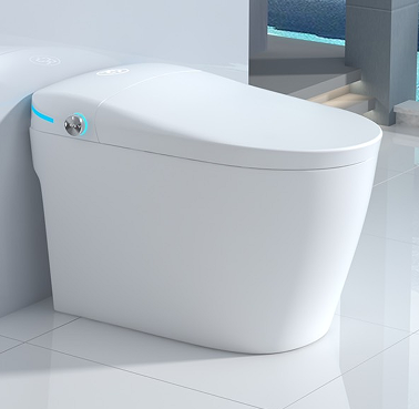 606 smart  toilet