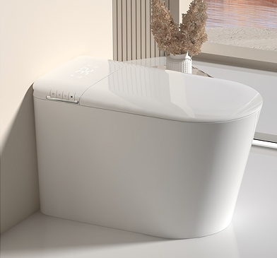 612 smart  toilet